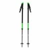 Black Diamond Vapor Carbon 2 Ski Poles, Groen/zwart