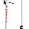 MSR DynaLock Trail Poles 2-Section, Grijs